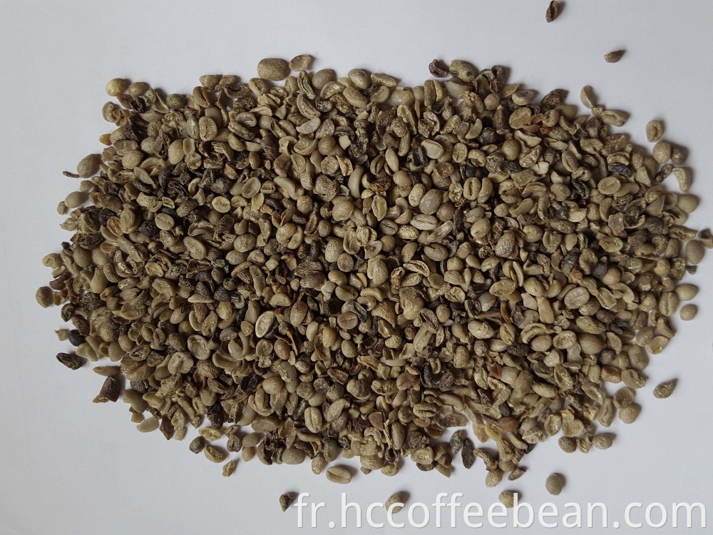 Grains de café chinois cassés, petite taille, arabica tyye, nouvelle récolte